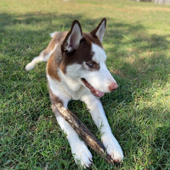 Meet your Posher, Sherrae - Picture 8 of 9